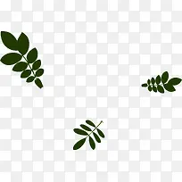 ��Ҷ��֦Ư��װ��-������