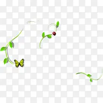 春天绿叶昆虫装饰-空若网 春天绿叶昆虫装饰-空若网