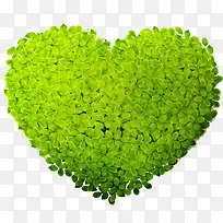 ���컷��������Ҷװ��-������