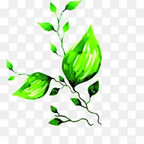 ��Ҷˮ�����װ��-������