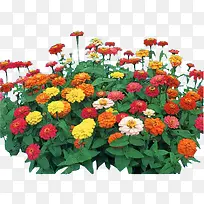 彩色花朵绿叶装饰-空若网 彩色花朵绿叶装饰-空若网