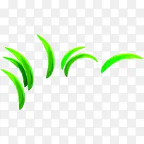 �̲���Ҷ����װ��-������