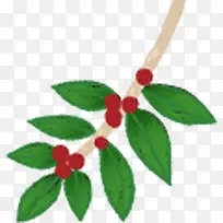 ��Ҷ��֦��֦װ��-������