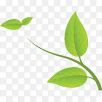 卡通绿叶树枝 装饰绿叶-空若网 卡通绿叶树枝 装饰绿叶-空若网