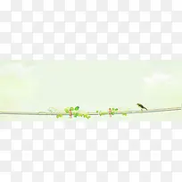 清新绿色唯美树枝和鸟背景-空若网 清新绿色唯美树枝和鸟背景-空若网