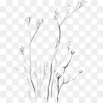 唯美清新植物树枝-空若网 唯美清新植物树枝-空若网
