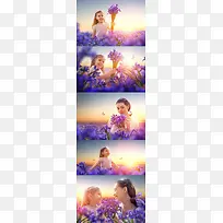 唯美清新薰衣草花海摄影图-空若网 唯美清新薰衣草花海摄影图-空若网