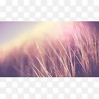 唯美背景小清新背景-空若网 唯美背景小清新背景-空若网