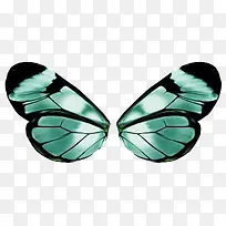 蝴蝶-空若网 蝴蝶-空若网