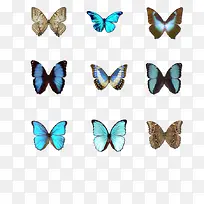 ����-������