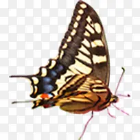 ����ϳɷ���ĺ�����������-������