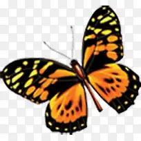 ������Ӱ����Ļ�����-������