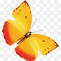 ��ɫ����ĺ�����ӰЧ��-������