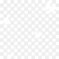 白色飞舞的蝴蝶-空若网 白色飞舞的蝴蝶-空若网