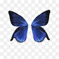 ���png��ɫ�������-������