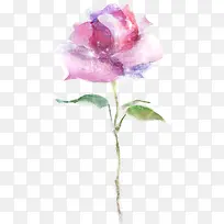 ����ɫ�ֻ�ˮ��õ��-������