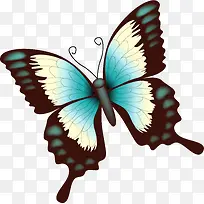 蓝色蝴蝶美丽插画-空若网 蓝色蝴蝶美丽插画-空若网