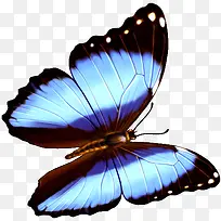 ������ɫ������װ��-������