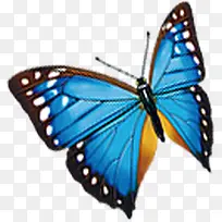 蓝色唯美蝴蝶创意-空若网 蓝色唯美蝴蝶创意-空若网