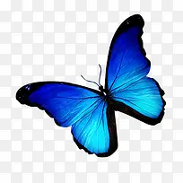 ��ɫչ��������-������