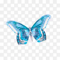 蓝色翅膀蝴蝶飞舞-空若网 蓝色翅膀蝴蝶飞舞-空若网