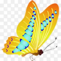 黄色蓝色翅膀蝴蝶-空若网 黄色蓝色翅膀蝴蝶-空若网
