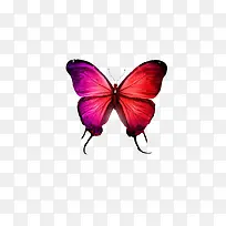 红色翅膀蓝色渐变蝴蝶-空若网 红色翅膀蓝色渐变蝴蝶-空若网