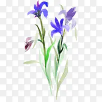 水彩墨花-空若网 水彩墨花-空若网