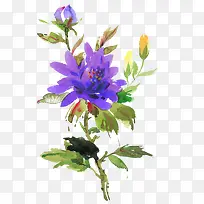 水彩墨花-空若网 水彩墨花-空若网