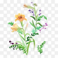 水彩墨花-空若网 水彩墨花-空若网