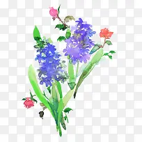 Ë®²ÊÄ«»¨-¿ÕÈôÍø Ë®²ÊÄ«»¨-¿ÕÈôÍø