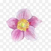 水彩墨花-空若网 水彩墨花-空若网