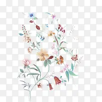 Ë®²ÊÄ«»¨-¿ÕÈôÍø Ë®²ÊÄ«»¨-¿ÕÈôÍø