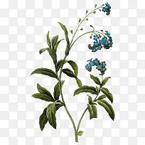 水彩墨花-空若网 水彩墨花-空若网