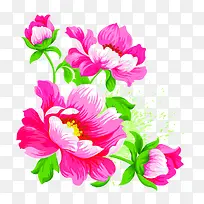 Ë®²ÊÄ«»¨-¿ÕÈôÍø Ë®²ÊÄ«»¨-¿ÕÈôÍø