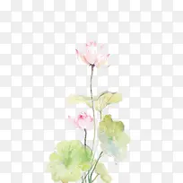 水彩墨花-空若网 水彩墨花-空若网