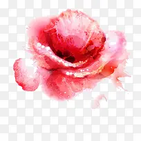 水彩墨花-空若网 水彩墨花-空若网