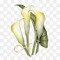 ˮ��ī��-������