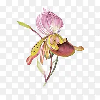 水彩墨花-空若网 水彩墨花-空若网