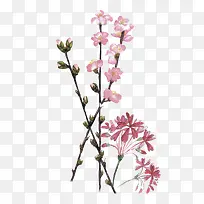 ˮ��ī��-������