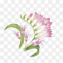 ˮ��ī��-������