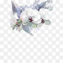 ˮ��ī��-������