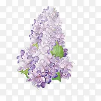 ˮ��ī��-������