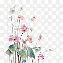 ˮ��ī��-������