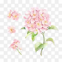 ˮ��ī��-������