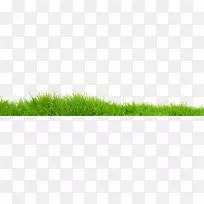 ���������Ʒֲ�ﾥ��PNG͸��ͼ��-������