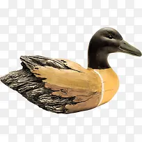 可爱小鸭子-空若网 可爱小鸭子-空若网