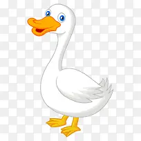 ���� ��ͨ����-������