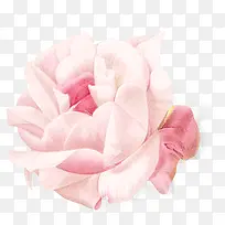 时尚粉红花朵装饰-空若网 时尚粉红花朵装饰-空若网