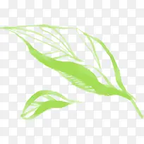 ÊÖ»æÂÌɫҶ×Ó²å»ËزÄ-¿ÕÈôÍø ÊÖ»æÂÌɫҶ×Ó²å»ËزÄ-¿ÕÈôÍø